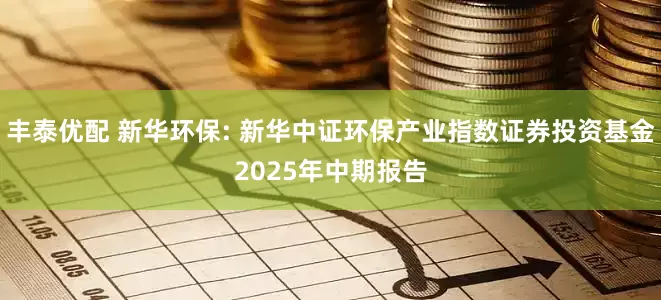 丰泰优配 新华环保: 新华中证环保产业指数证券投资基金2025年中期报告