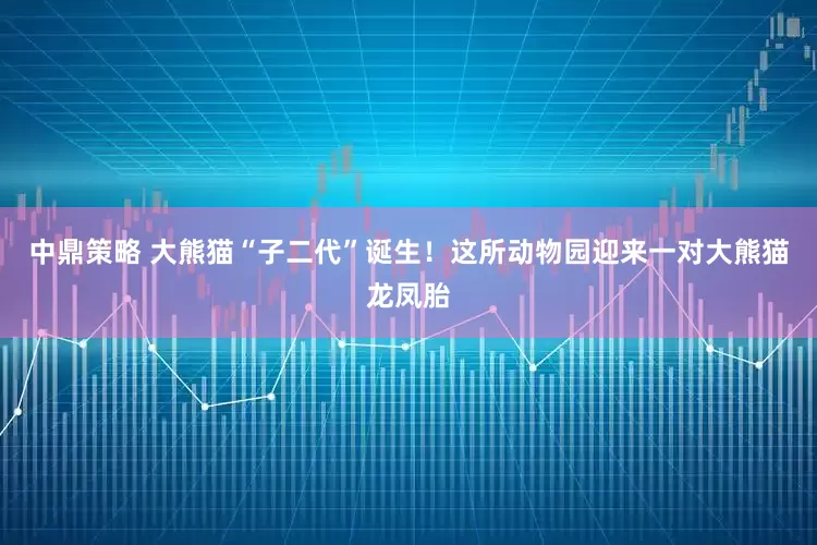 中鼎策略 大熊猫“子二代”诞生！这所动物园迎来一对大熊猫龙凤胎