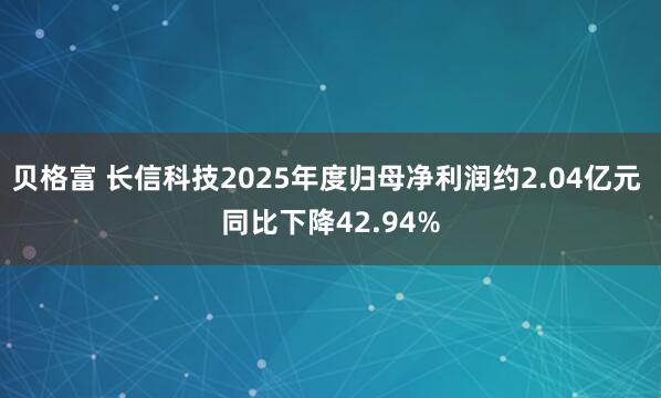 贝格富 长信科技2025年度归母净利润约2.04亿元 同比下降42.94%